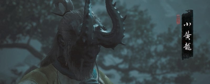 《黑神话：悟空》小黄龙影神图介绍