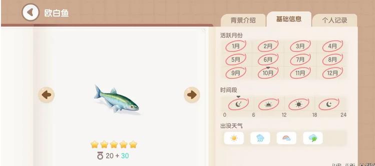 《心动小镇》欧白鱼钓取时间地点一览