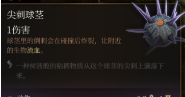 《博德之门3》尖刺球茎有什么用