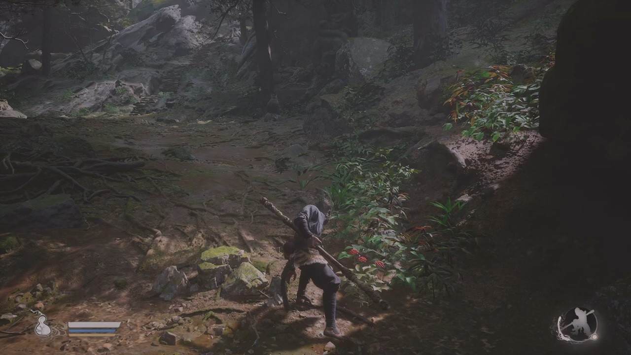 PS5 Pro性能模式运行《黑神话：悟空》视频公布：游戏流畅稳定，画面效果更好