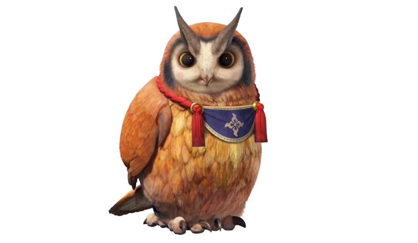 《怪物猎人崛起》角色图鉴：村长的宠物-福福鸮