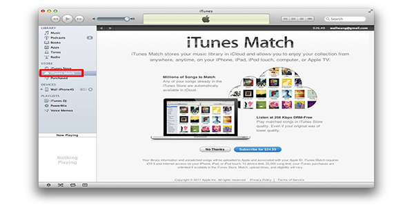 iTunes