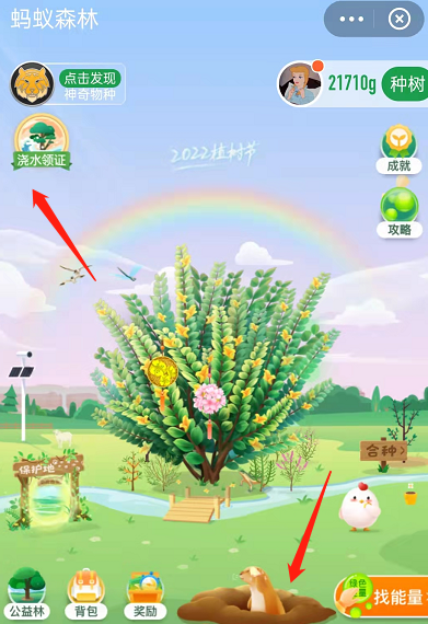 支付宝蚂蚁森林如何领取2022植树节证书